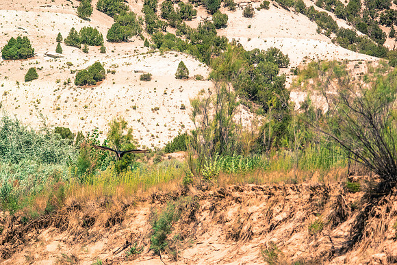 Green River Adventure August 2016-4163