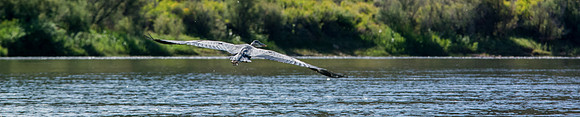 Green River Adventure August 2016-3675