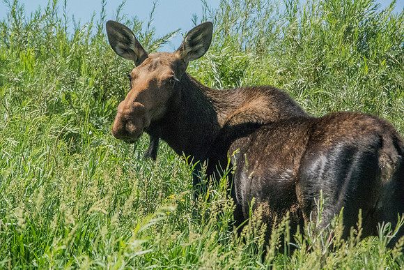 Green River Adventure August 2016-4123