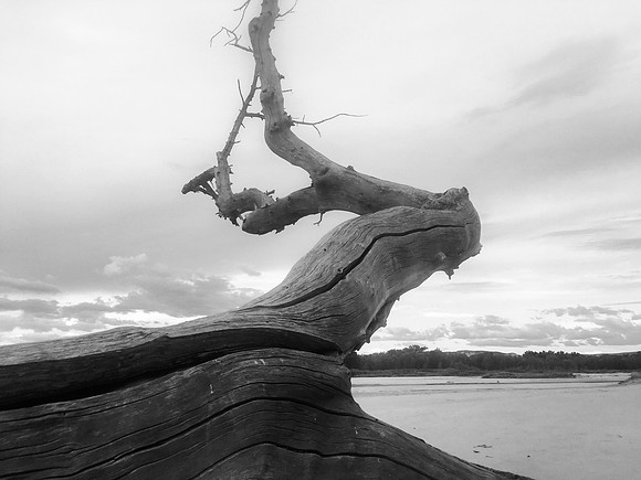Green River Adventure August 2016-0543