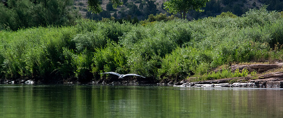 Green River Adventure August 2016-3636