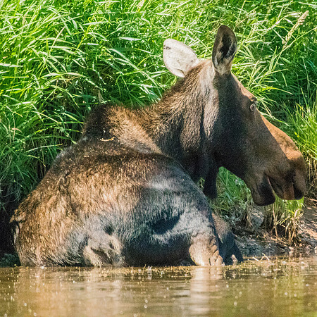 Green River Adventure August 2016-4080
