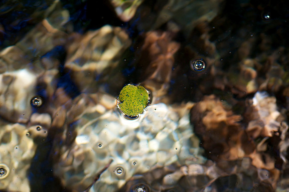 _DSC4078