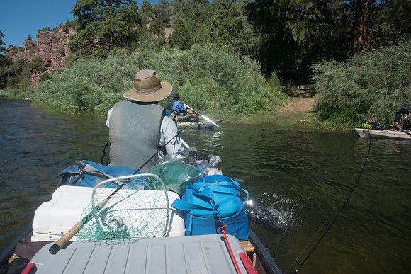 Green River Adventure August 2016-3111