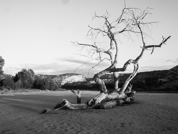 Green River Adventure August 2016-4482