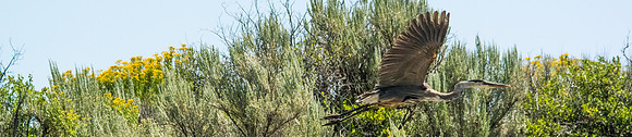 Green River Adventure August 2016-4284