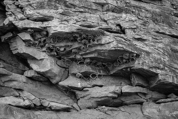 Green River Adventure August 2016-3910