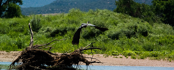 Green River Adventure August 2016-4251