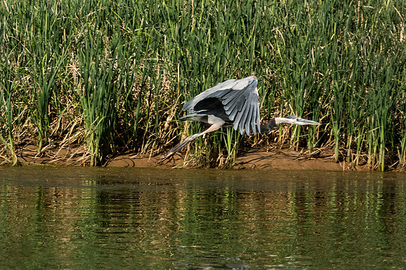 Green River Adventure August 2016-3732