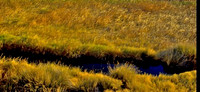 Death Valley California