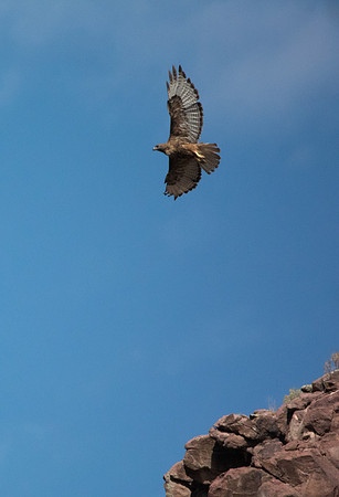 Green River Adventure August 2016-3844
