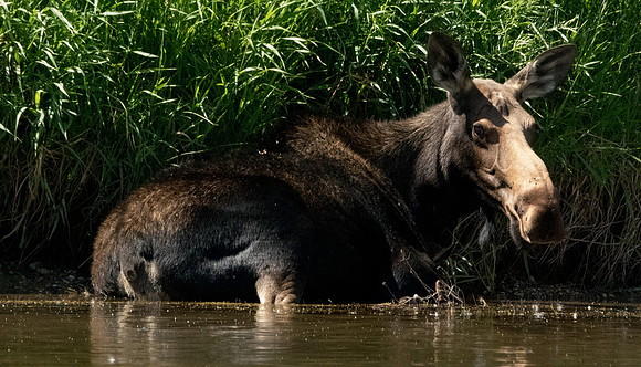 Green River Adventure August 2016-4066
