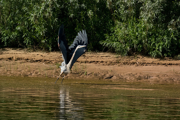 Green River Adventure August 2016-3717