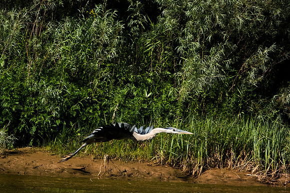 Green River Adventure August 2016-3727