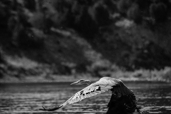 Green River Adventure August 2016-3652
