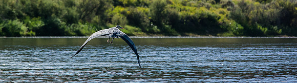 Green River Adventure August 2016-3673