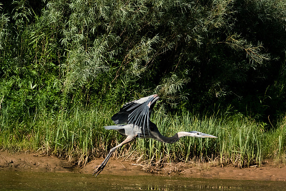 Green River Adventure August 2016-3728