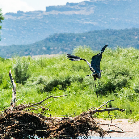 Green River Adventure August 2016-4252