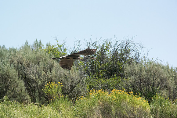 Green River Adventure August 2016-4289