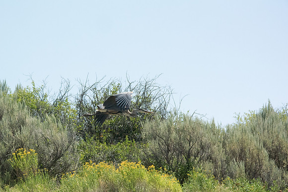 Green River Adventure August 2016-4290