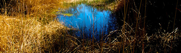 DSC_0131 - 2008-02-17 11-29-30