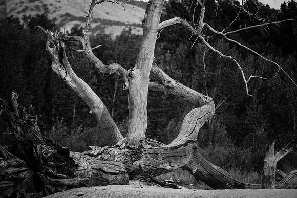 Green River Adventure August 2016-4389
