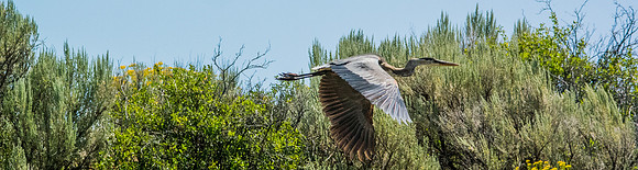 Green River Adventure August 2016-4287