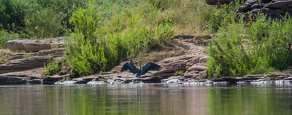 Green River Adventure August 2016-3641