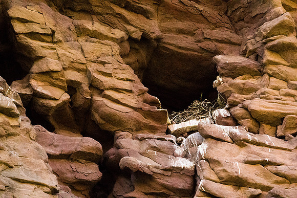 Green River Adventure August 2016-3903