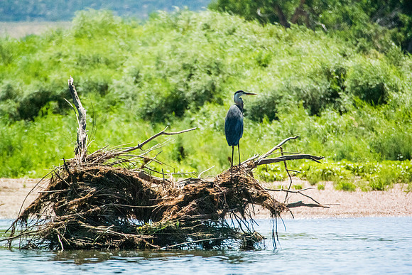 Green River Adventure August 2016-4249