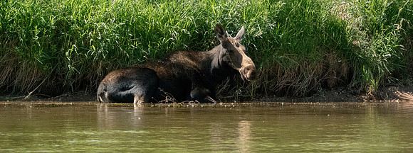 Green River Adventure August 2016-4062