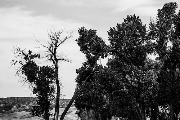 Green River Adventure August 2016-4363