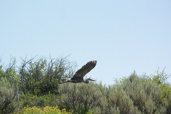 Green River Adventure August 2016-4291