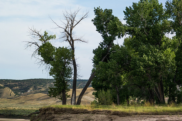 Green River Adventure August 2016-4366