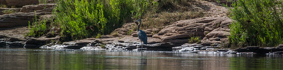 Green River Adventure August 2016-3642