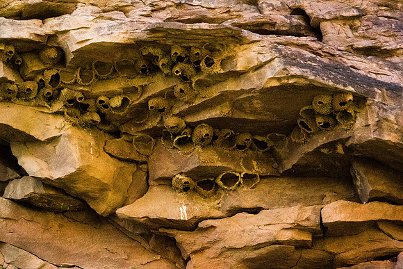 Green River Adventure August 2016-3909