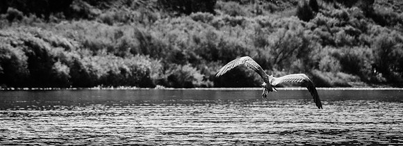 Green River Adventure August 2016-3671