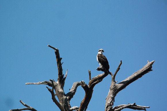 Green River Adventure August 2016-3225