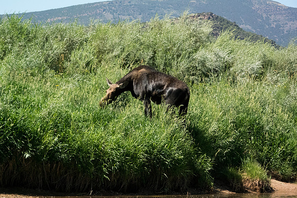 Green River Adventure August 2016-4094