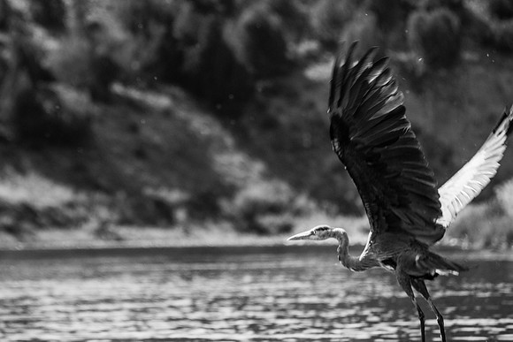 Green River Adventure August 2016-3651