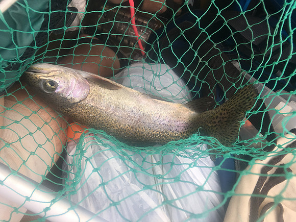 Green River Adventure August 2016-0388