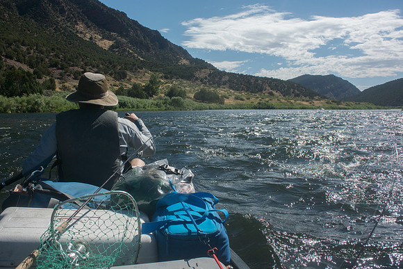 Green River Adventure August 2016-3114