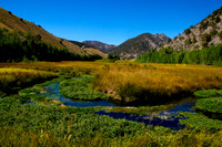 Kingston Creek Nevada