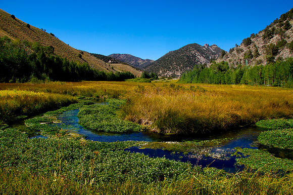 Kingston Creek Nevada