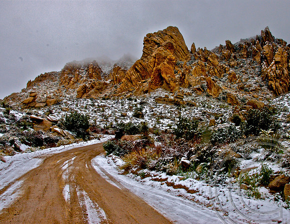 Christmas Tree Pass, Nevada
