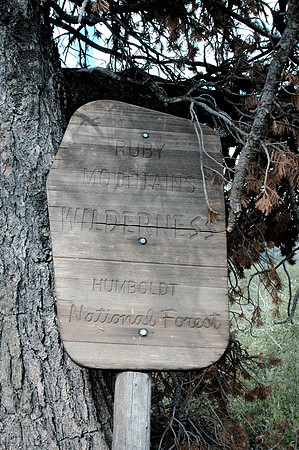 Ruby  Crest Trail  Wilderness Border