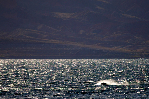 _DSC5306