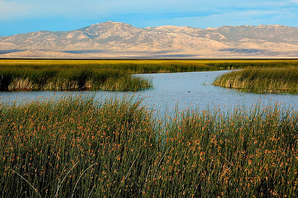 Ruby Marsh, Nevada