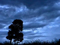 Backyard Sky