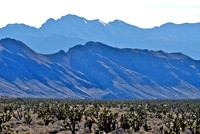 DSC_0203 - 2008-02-17 13-00-30